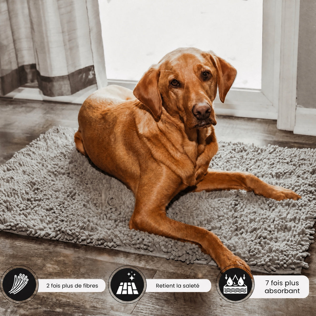 Chien couché sur le tapis CleanPatte™ posé sur parquet, pastilles 2 fois plus de fibres, retient la saleté, 7 fois plus absorbant