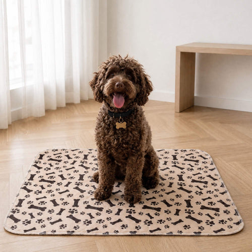 CaniMat™, tapis de propreté lavable pour chien, caniche assis dessus dans un salon contemporain