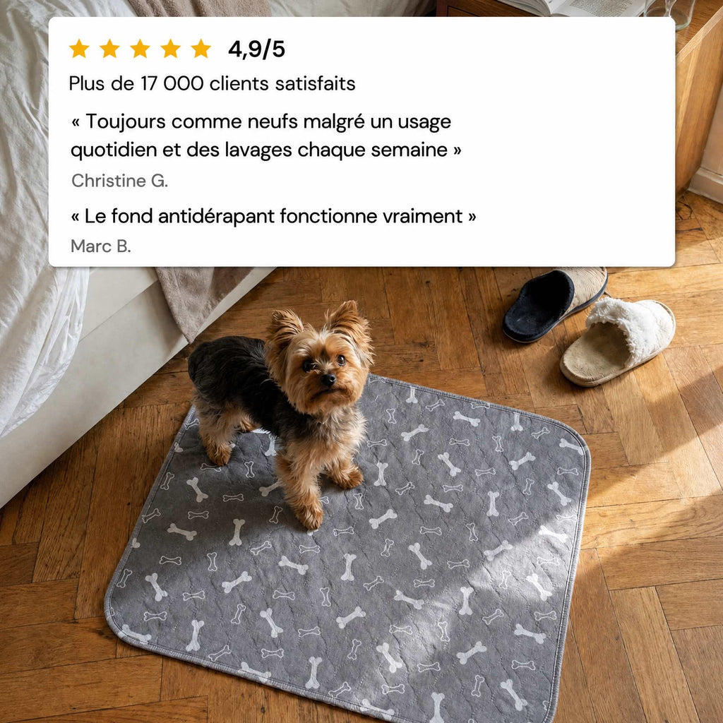 Avis clients du tapis de propreté CaniMat™ : 4,9 sur 5, plus de 17 000 clients