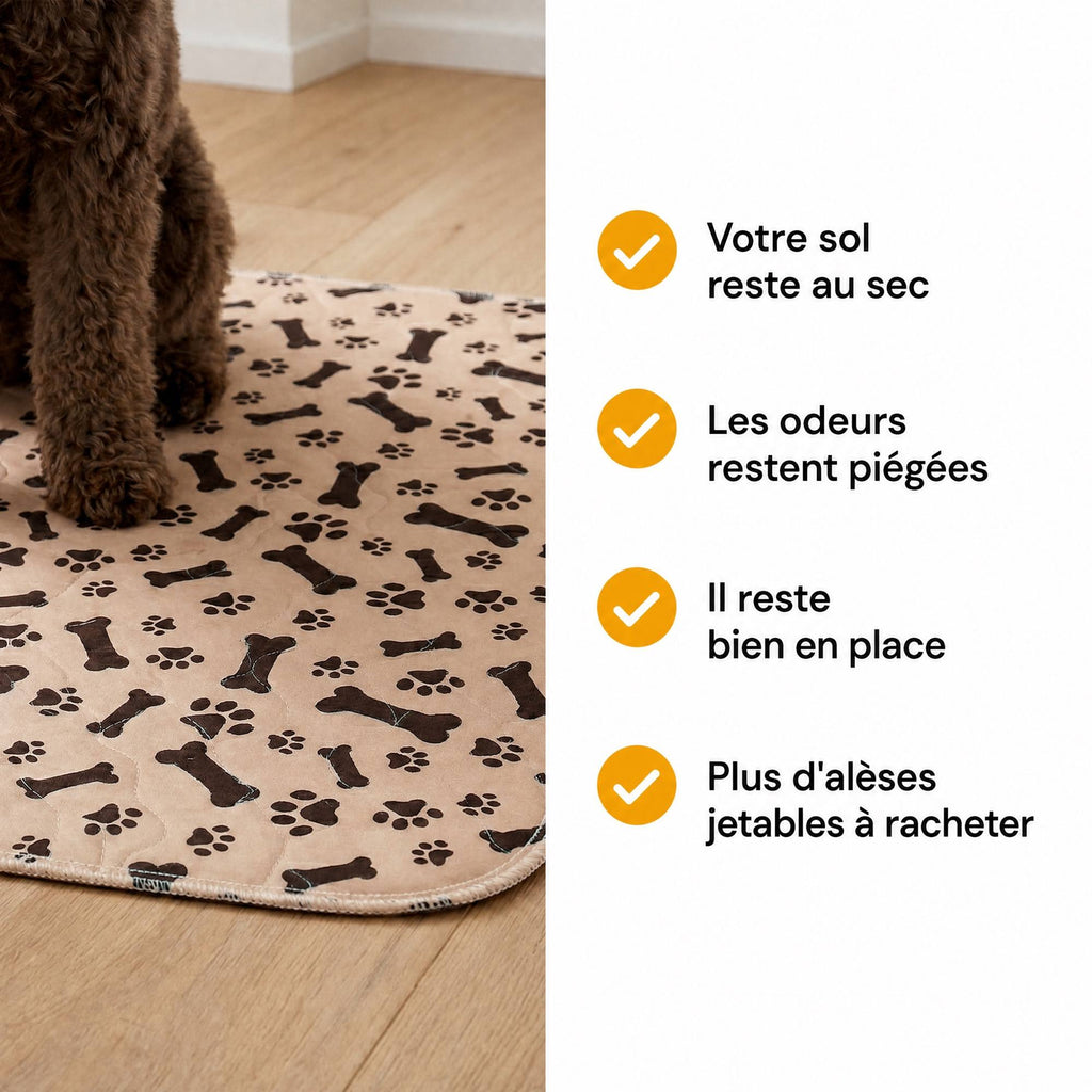 Bénéfices du tapis de propreté CaniMat™ : sol au sec, odeurs piégées, tient en place
