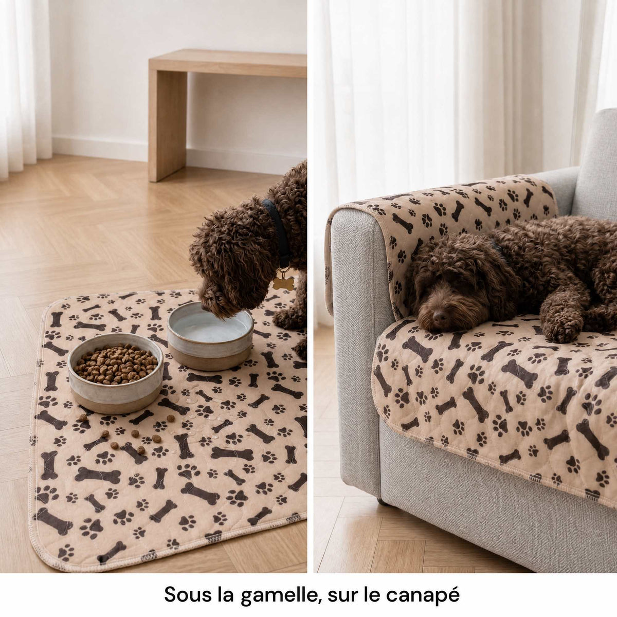 Tapis CaniMat™ sous la gamelle et sur le canapé