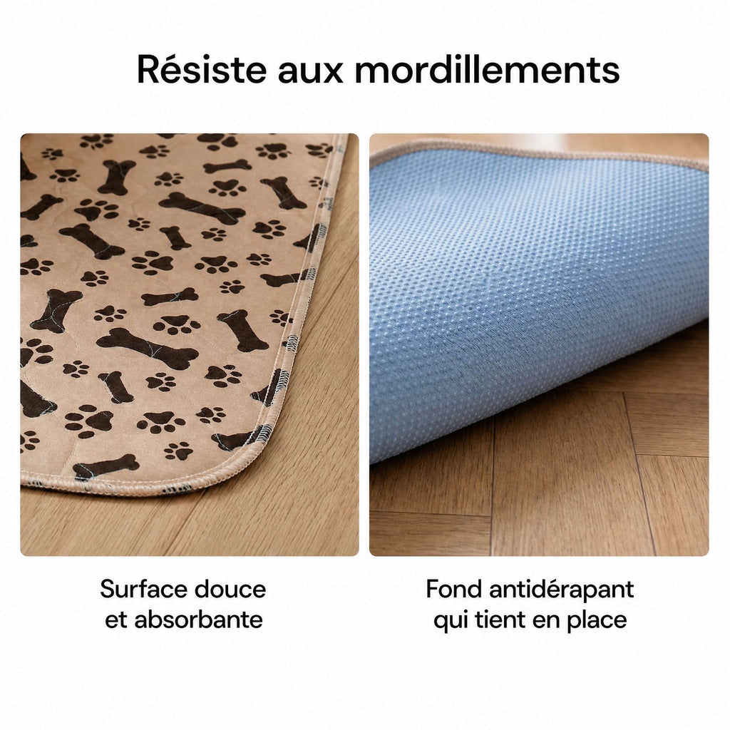 Surface douce absorbante et fond antidérapant du tapis CaniMat™