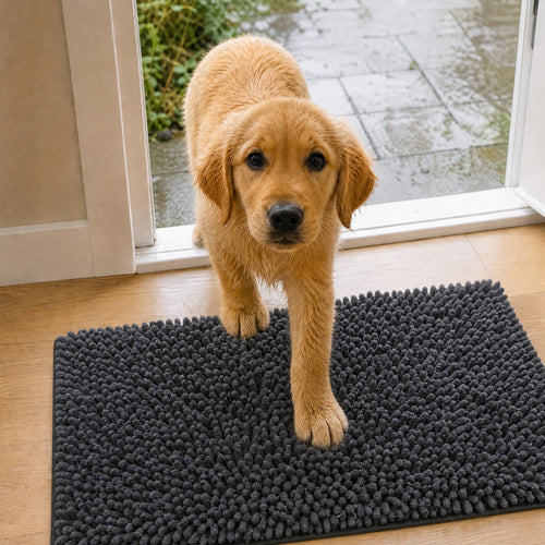Un chiot golden retriever rentre de la pluie et pose la patte sur le tapis CleanPatte™ gris foncé
