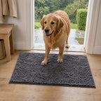 Golden retriever qui rentre de la pluie et pose les pattes sur le tapis CleanPatte™ gris foncé
