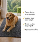 Golden retriever couché sur le tapis CleanPatte™ gris foncé, pattes sèches et boue retenue