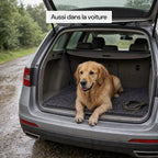Golden retriever couché sur le tapis CleanPatte™ gris foncé, à plat dans le coffre d'une voiture